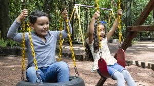 Children playing on the swings