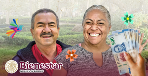 Pensiones del Bienestar