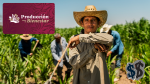 Apoyos económicos para productores agrícolas