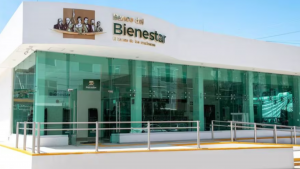 Bienestar (2)