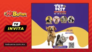 PETFEST2026