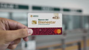 Bienestar (1)