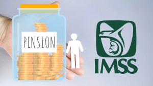 IMSS