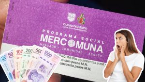 Mercomuna