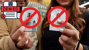 Licencia
