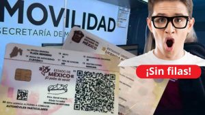 Licencia