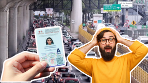 Licencia