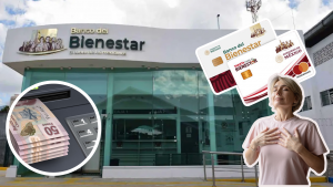 BIENESTAR