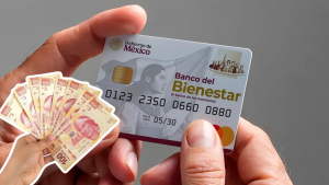 BIENESTAR